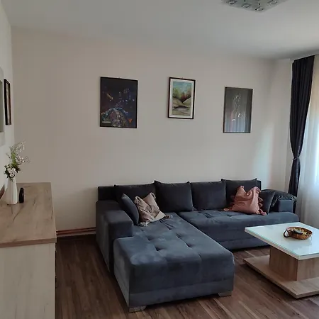 Apartman Andja 斯雷姆斯卡米特罗维察