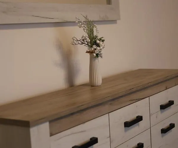 Andja 아파트 스렘스카 미트로비차