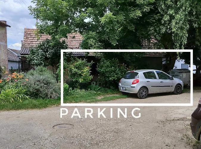 Andja 스렘스카 미트로비차