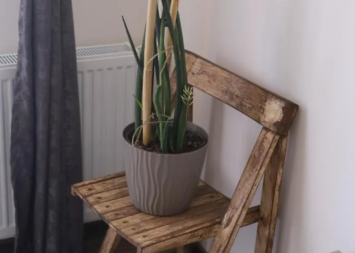 Andja * 스렘스카 미트로비차